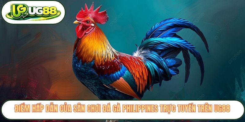 Điểm hấp dẫn của sân chơi đá gà Philippines trực tuyến trên UG88