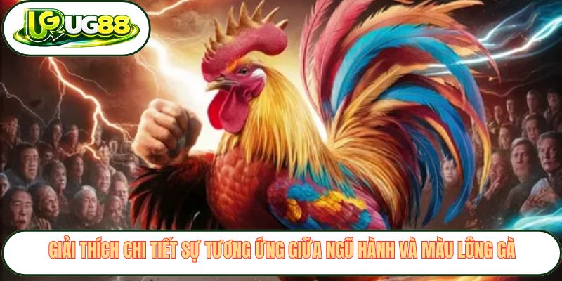 Giải thích chi tiết sự tương ứng giữa ngũ hành và màu lông gà