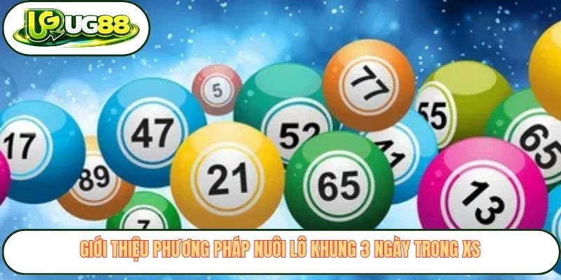 Giới thiệu phương pháp nuôi lô khung 3 ngày trong XS